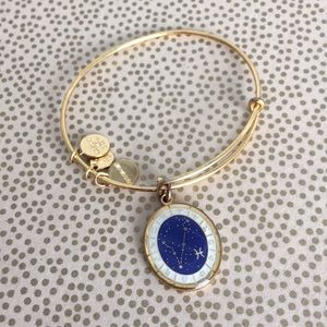 Alex and Ani Pisces bracelet ♓️